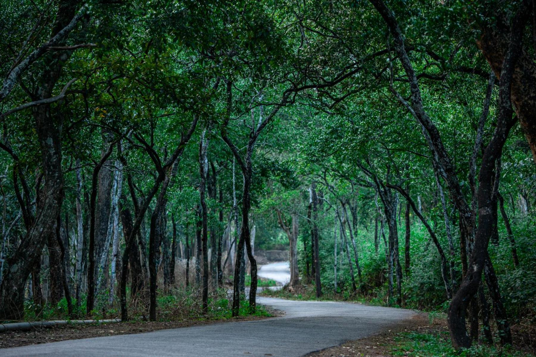 Nature Tones By Brdge Hospitality Maraiyur Bagian luar foto