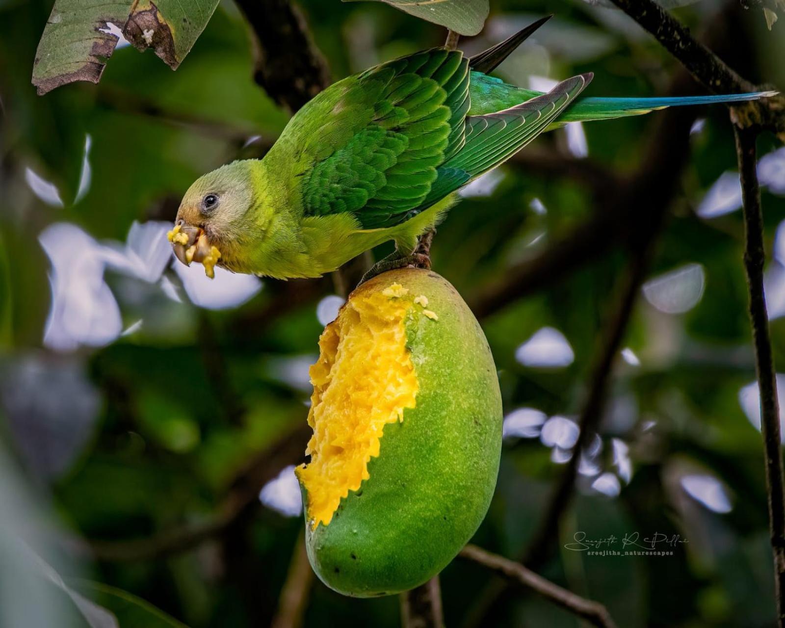 Nature Tones By Brdge Hospitality Maraiyur Bagian luar foto