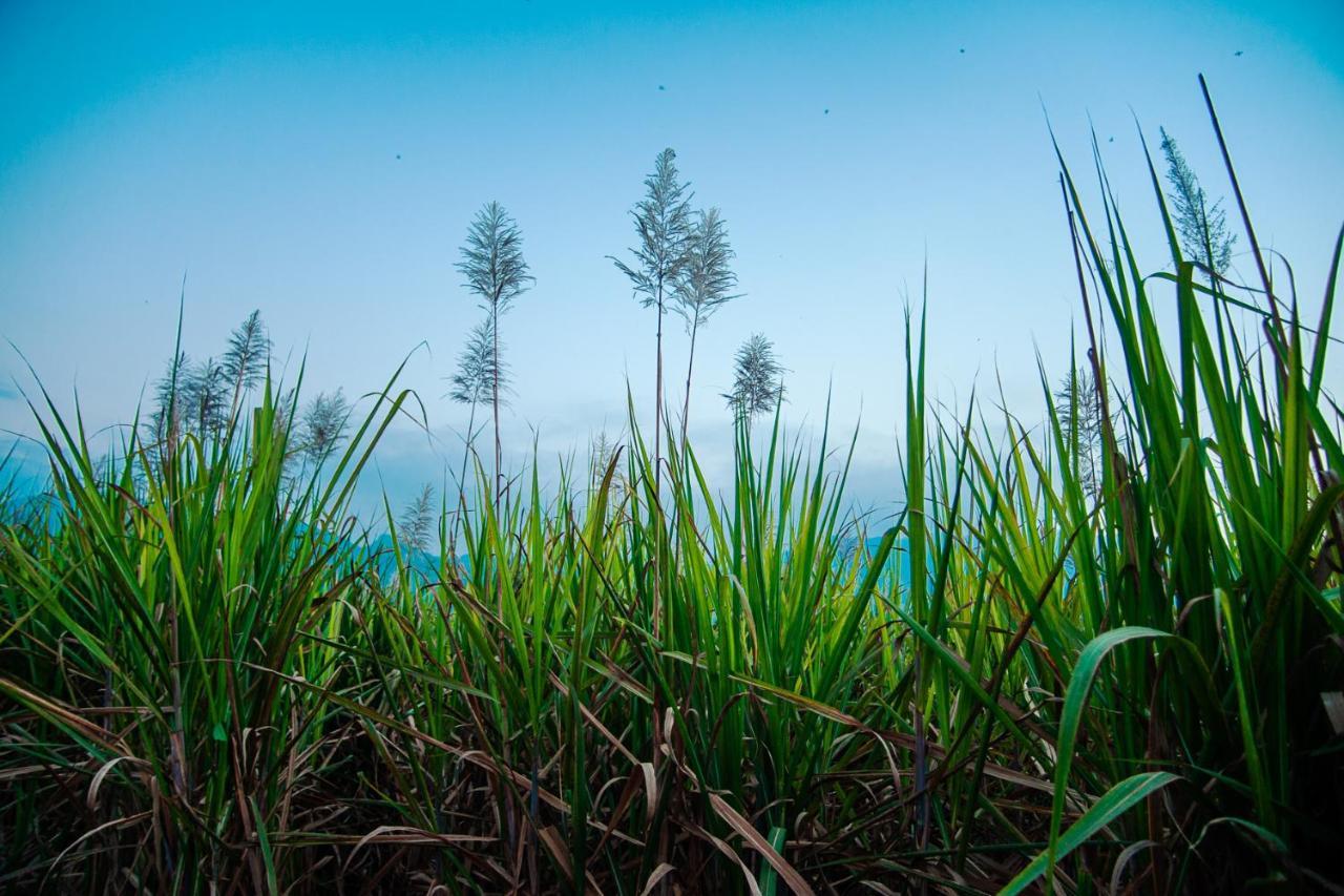 Nature Tones By Brdge Hospitality Maraiyur Bagian luar foto