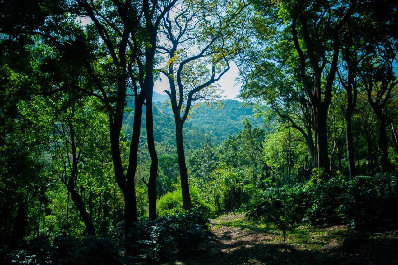 Nature Tones By Brdge Hospitality Maraiyur Bagian luar foto